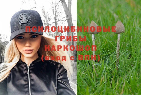 метадон Заводоуковск