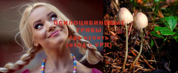 винт Армянск