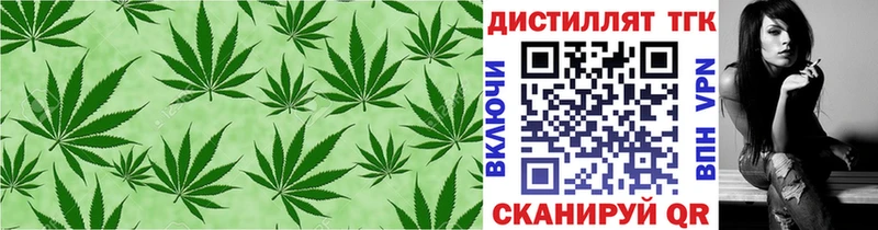 ТГК концентрат  где найти   Судогда 