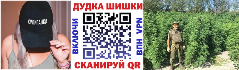 кракен сайт  Судогда  Каннабис AK-47  купить закладку 